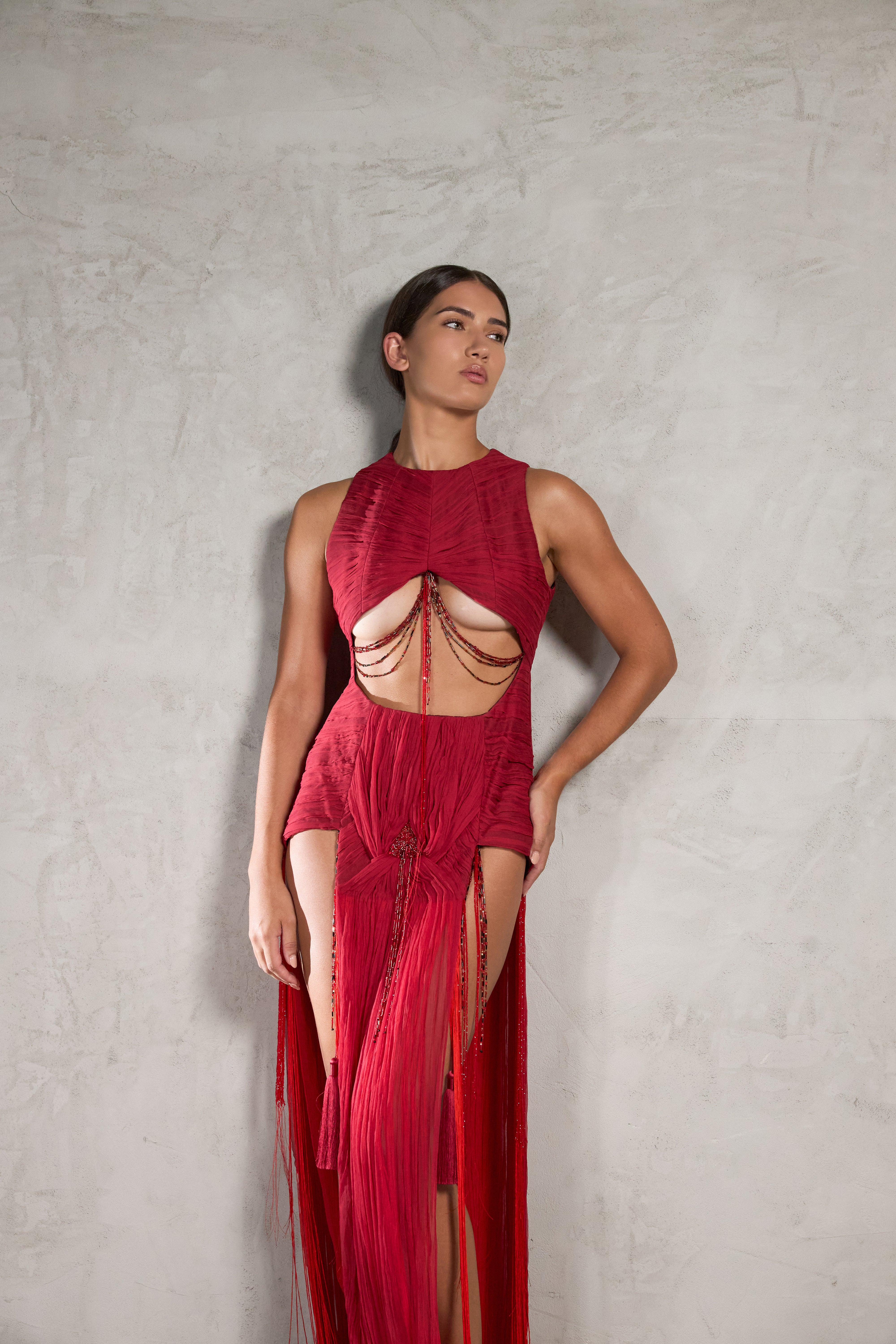 Crimson Gown