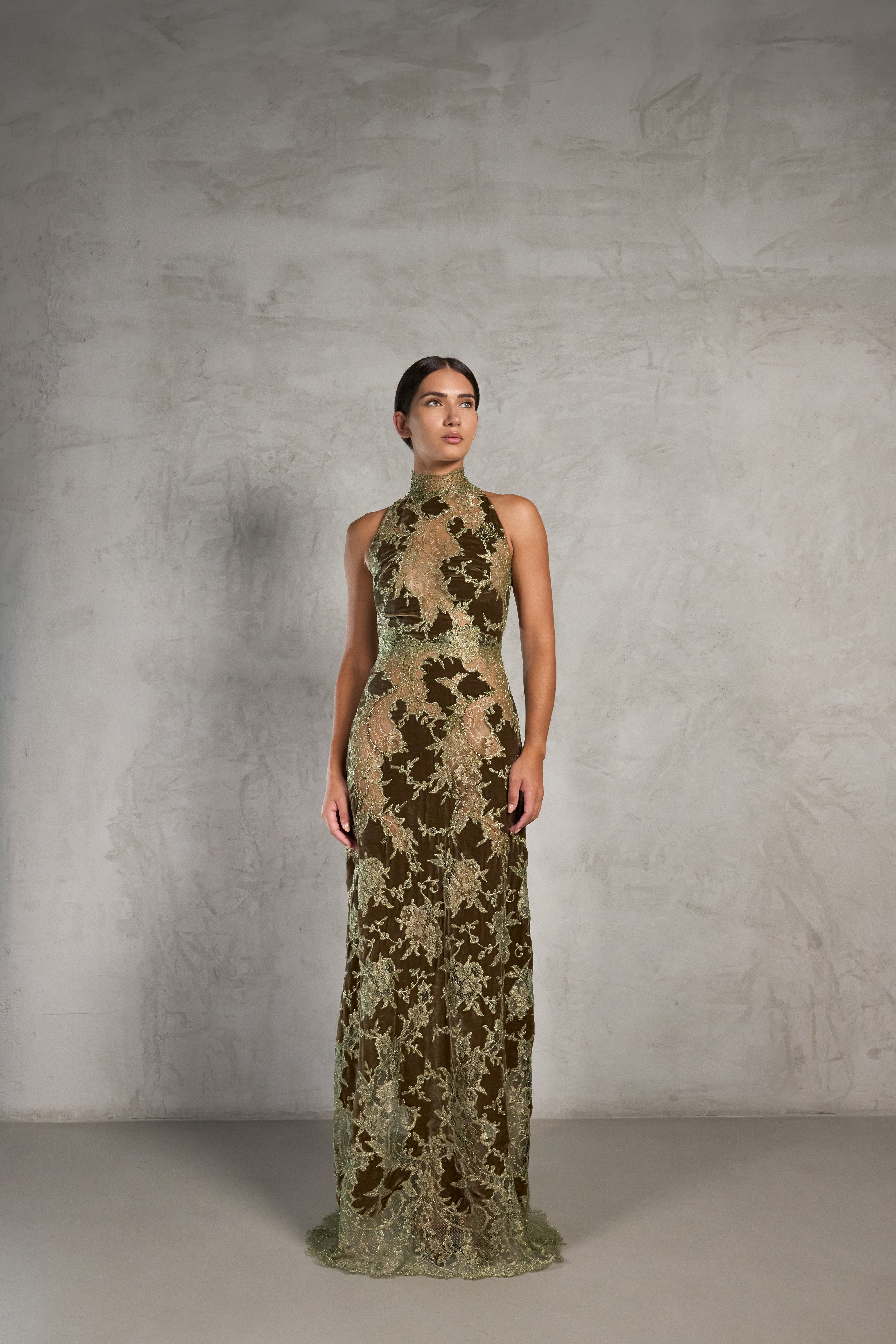 Velvet Dévore Gown in Olive